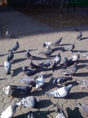 IMG_20121111_125430