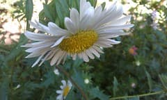 IMAG0014