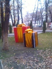 IMG_20121107_155426