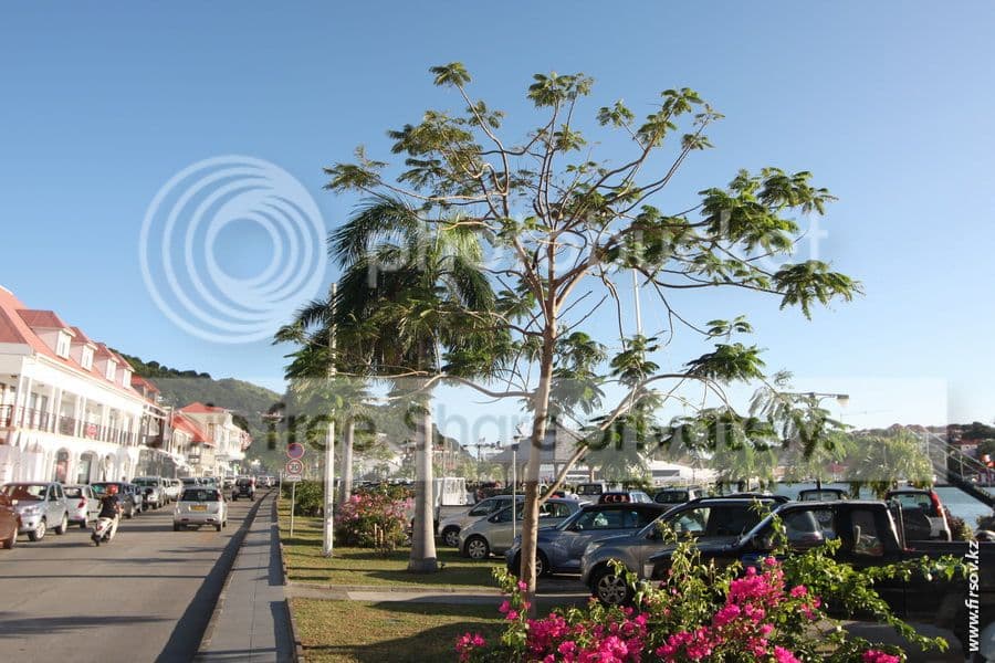 photo st_bart52_zps7c2bcec5.jpg
