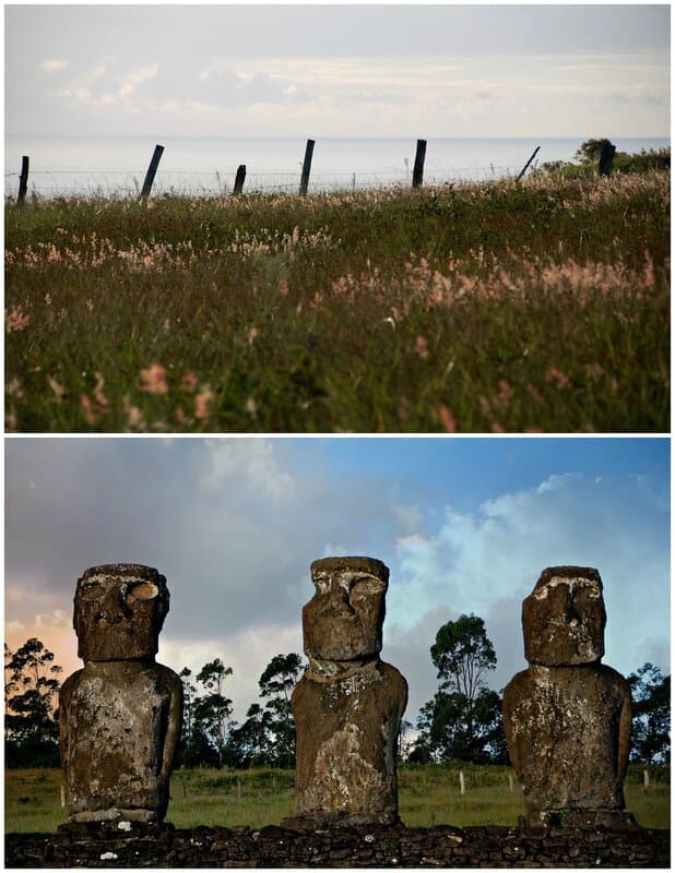 PicMonkey Collage-3.jpg