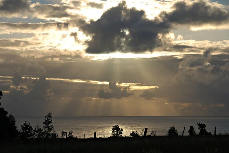 DSC_8344-2.jpg