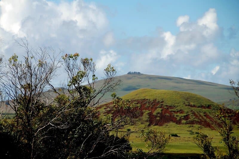 DSC_7953.JPG
