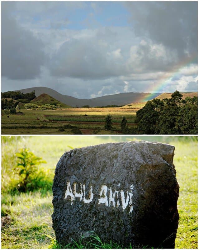 PicMonkey Collage-2.jpg