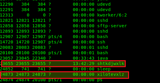 Вирус в листинге процессов linux Вирус в листинге процессов linux