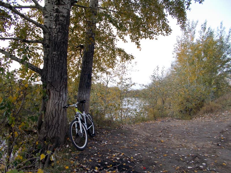 п. Борки, на берегу р. Ишим (Петропавловск)