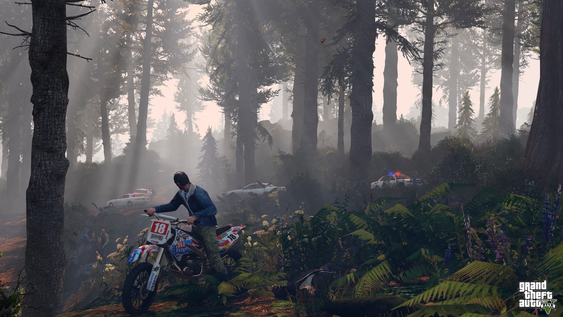 Grand Theft Auto V