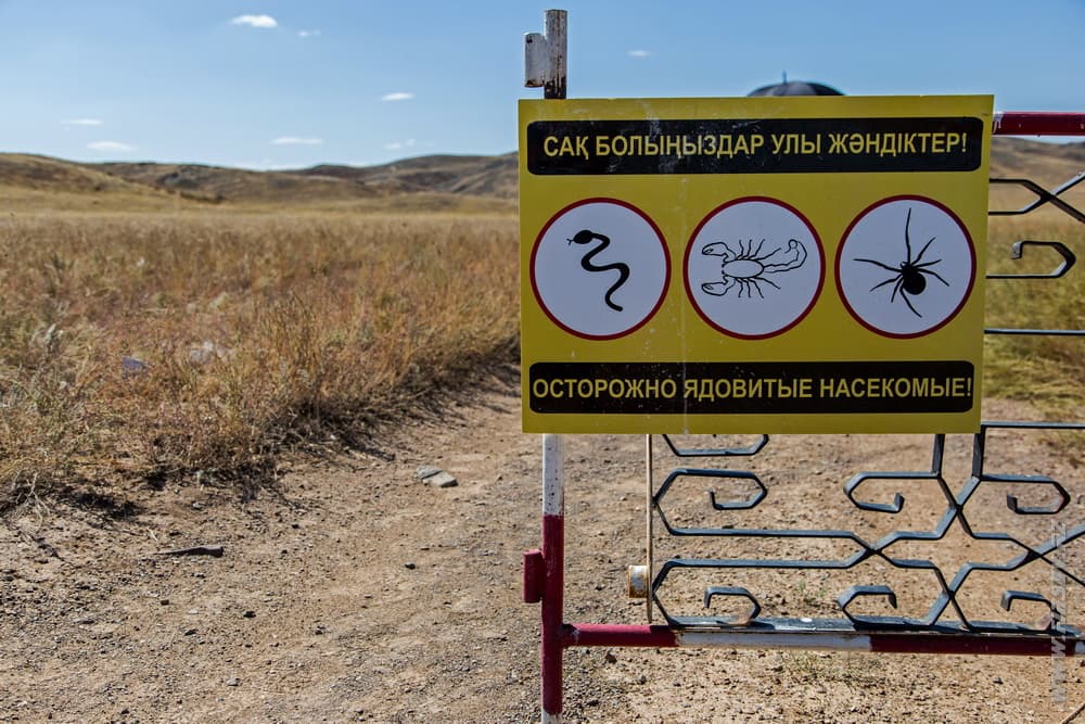 Tanbaly 4.JPG Tanbaly 4.JPG