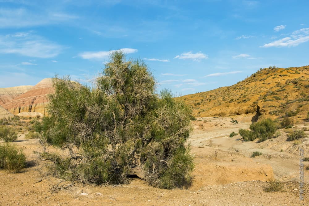 Aktau 47.JPG Aktau 47.JPG