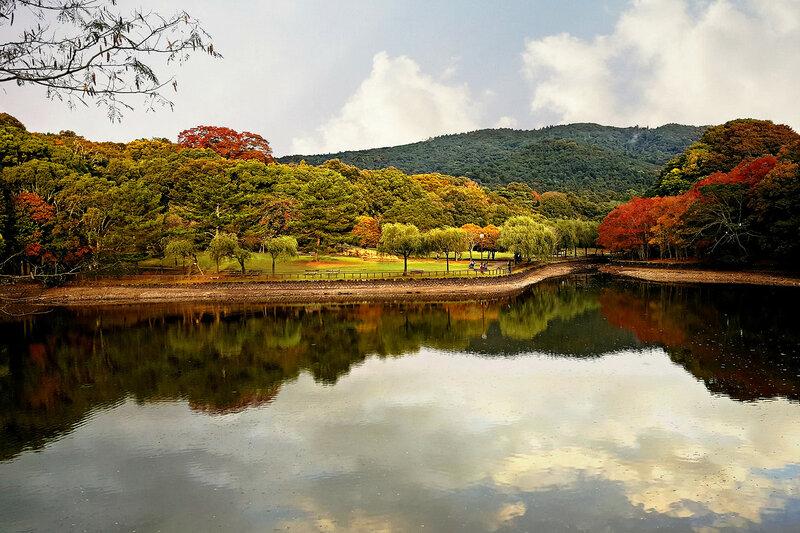 Япония осенью, туры в Японию