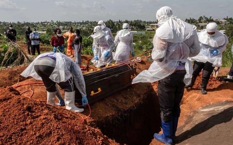 Число случаев лихорадки Эбола в ДРК выросло до 2267, число погибших достигло 893