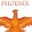 phoenix_x