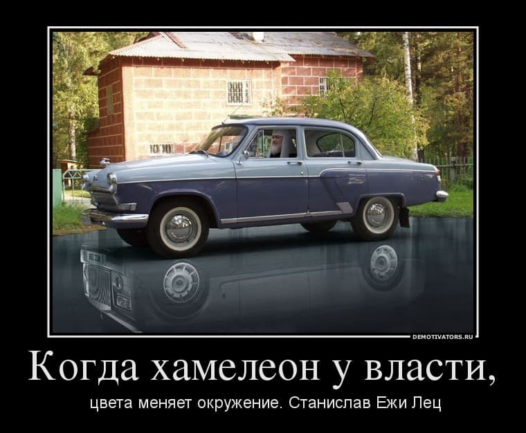 цвета меняет окружение Когда хамелеон у власти,