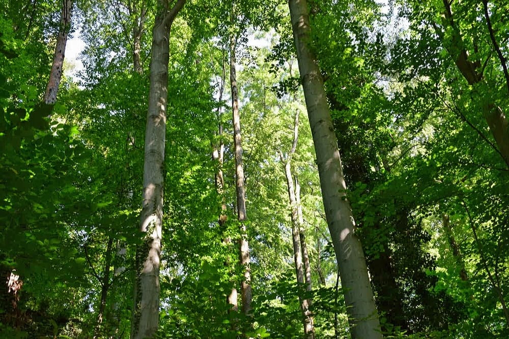 Лозанна, Швейцария Лозанна, Швейцария
