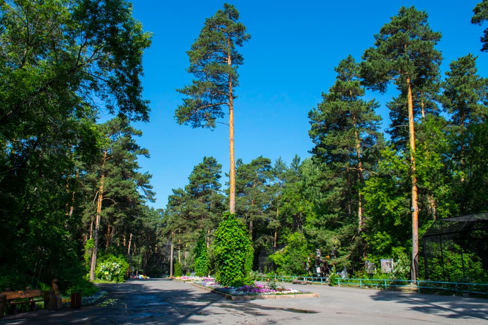 Новосибирский зоопарк Новосибирский зоопарк