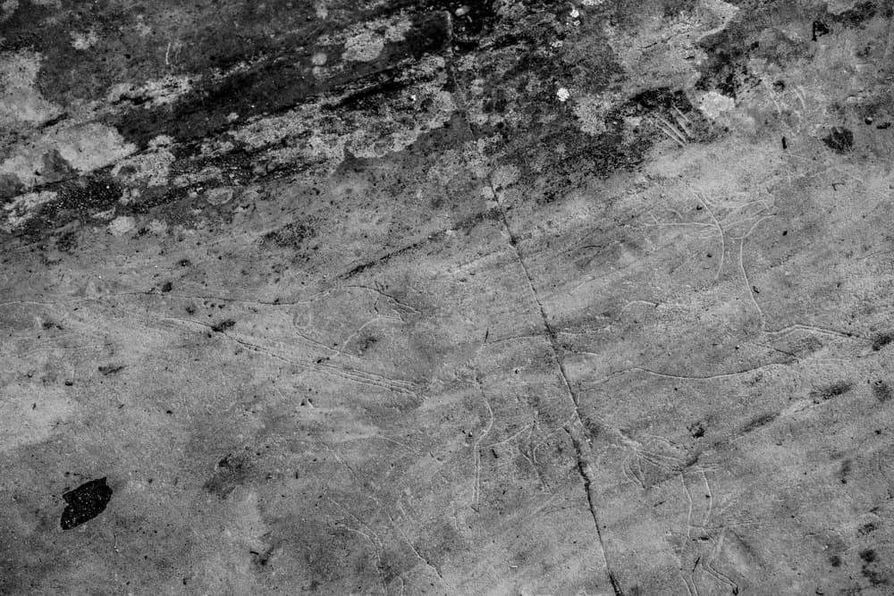 петроглифы Калбак-Таш, Горный Алтай петроглифы Калбак-Таш, Горный Алтай