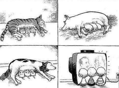 Yjw6a48a7BWbr218Ys0n9ya8ElEIBD.jpg