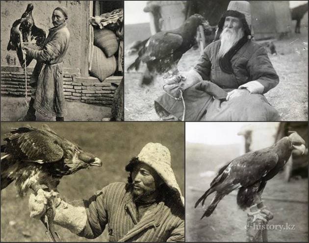 «Традиционная жизнь в степи»: снаряжение кусбеги «Традиционная жизнь в степи»: снаряжение кусбеги