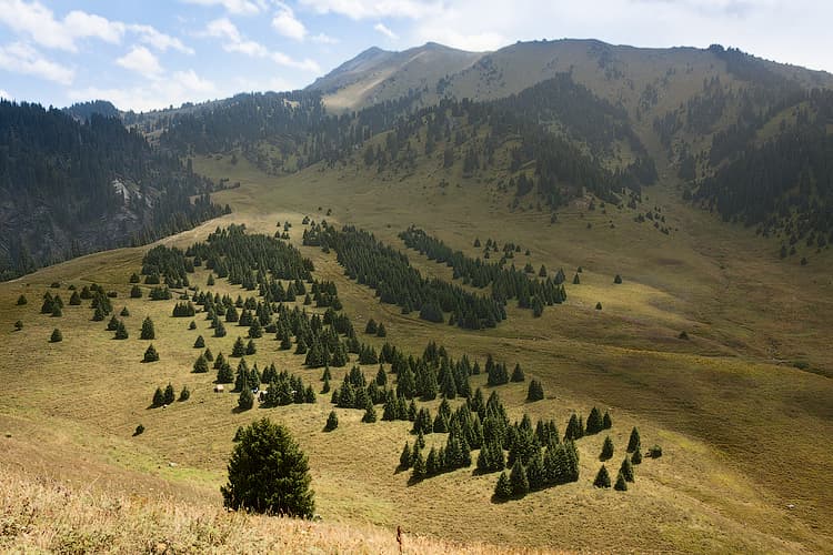 Кок Жайлау Кок Жайлау