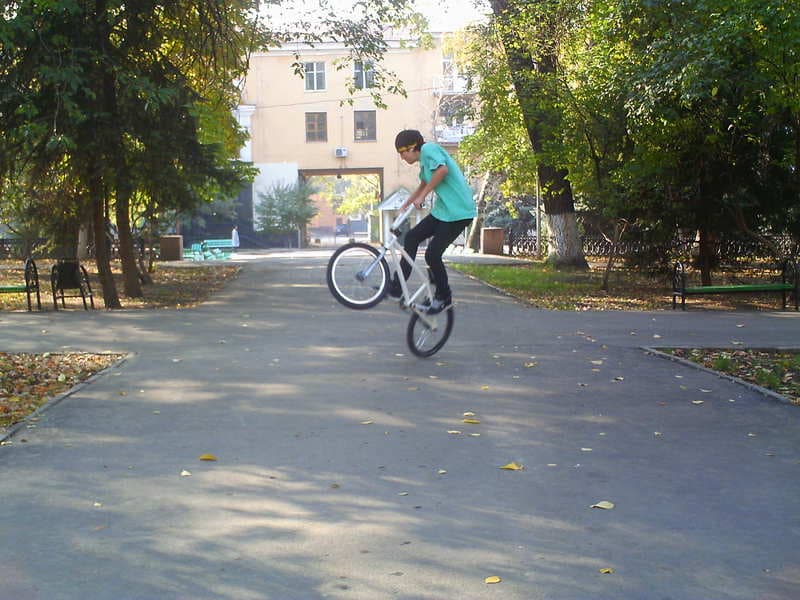 Птица!) Птица!)