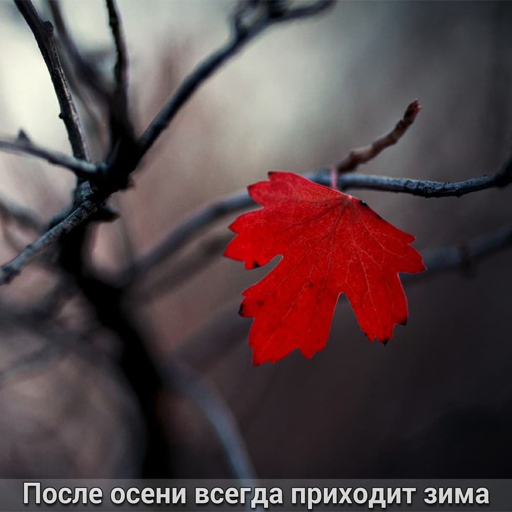 9bRn3TkGbjSAZH1acFuvCWU8rWd9a1.jpg