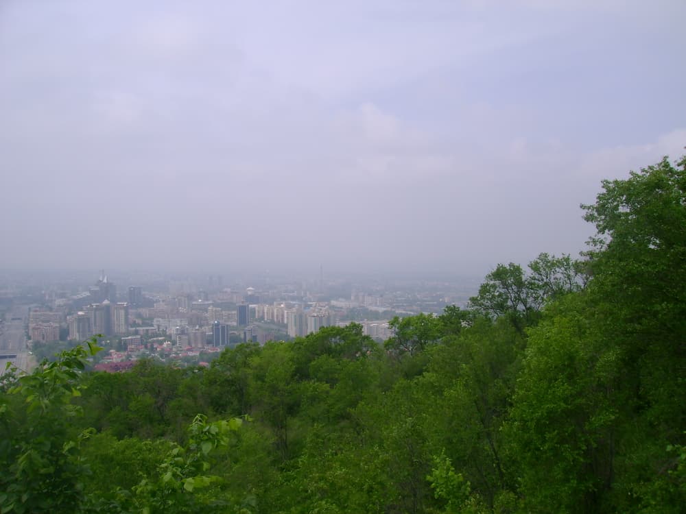 День был пасмурный, 2010 год