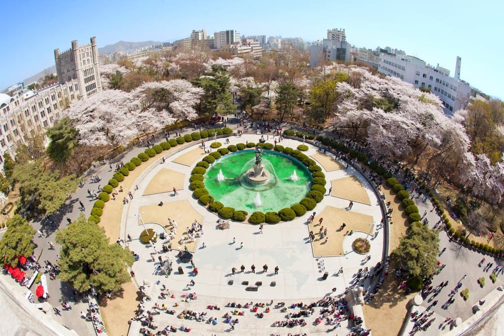 경희대 봄 경희대 봄