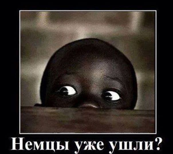 Lju31PomPlTH34s23V0i83s7h7MI7u.jpg