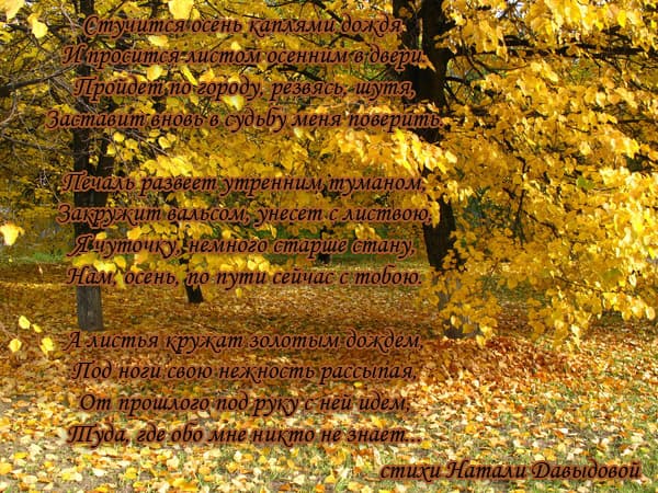 Стучится осень каплями дождя