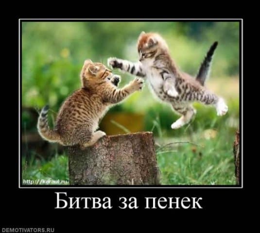 Битва за пенек Битва за пенек