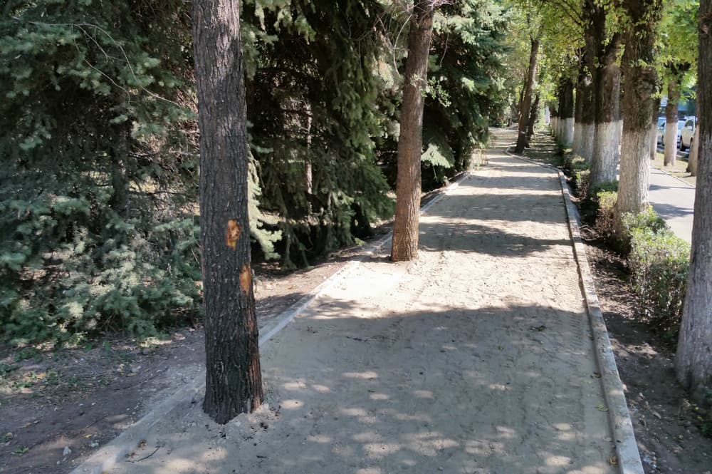 Уничтожение сквера расположенного выше Старой площади Астана Уничтожение сквера на Старой площади в алматы, Уничтожение сквера выше старой площади, площадь астана сквер, уничтожение парков и скверов алматы, акимат алматы скверы, экология алматы, природа алматы, достопримечательности скверы алматы, туризм алматы скверы парки, сквер выше старой площади алматы, сквер у КБТУ, сквер выше КБТУ, повреждение деревьев алматы, уничтожение парков и скверов алматы, алматинские парки и скверы реконструкция, сквер у кбту алматы, сквер у дома правительства алматы, сквер Старой площади алматы, уничтоженный сквер старой площади алматы, благоустройство алматы акимат, акимат алматы скверы и парки, байбек алматы, аким алматы итоги работы, аким байбек итоги работы, деятельность акима байбека алматы, итоги деятельности байбека алматы, роман шнайдерман алматы, парк роман шнайдерман, пешеходные зоны шнайдерман роман, парки скверы реконструкция алматы акимат, вырубка деревьев алматы, роман шнайдерман портфолио, проект роман шнайдерман, экология алматы, парки и скверы алматы, дорожки алматы, пешеходные зоны алматы, улицы алматы, алматы, уничтожение деревьев алматы, уничтожение сквера выше площади Астана, сквер на площади Астана, деятельность акимата алматы, акимат экология алматы, алматинская экология, алматинские парки акимат алматы, проекты романа шнайдермана алматы, дизайнер роман шнайдерман, архитектор роман шнайдерман, шнайдерман роман архитектор алматы, улицы роман шнайдерман