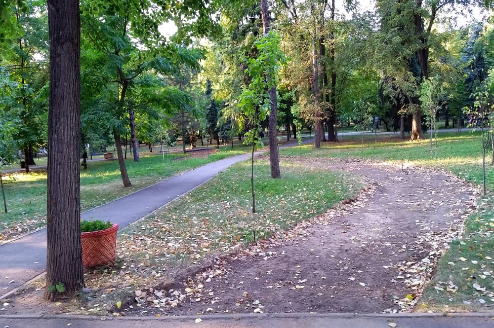 Уничтожение сквера Северный ниже на Старой площади Уничтожение сквера на Старой площади в алматы, Уничтожение сквера выше старой площади, площадь астана сквер, уничтожение парков и скверов алматы, акимат алматы скверы, экология алматы, природа алматы, достопримечательности скверы алматы, туризм алматы скверы парки, сквер выше старой площади алматы, сквер у КБТУ, сквер выше КБТУ, повреждение деревьев алматы, уничтожение парков и скверов алматы, алматинские парки и скверы реконструкция, сквер у кбту алматы, сквер у дома правительства алматы, сквер Старой площади алматы, уничтоженный сквер старой площади алматы, благоустройство алматы акимат, акимат алматы скверы и парки, байбек алматы, аким алматы итоги работы, аким байбек итоги работы, деятельность акима байбека алматы, итоги деятельности байбека алматы, роман шнайдерман алматы, парк роман шнайдерман, пешеходные зоны шнайдерман роман, парки скверы реконструкция алматы акимат, вырубка деревьев алматы, роман шнайдерман портфолио, проект роман шнайдерман, экология алматы, парки и скверы алматы, дорожки алматы, пешеходные зоны алматы, улицы алматы, алматы, уничтожение деревьев алматы, деятельность акимата алматы, акимат экология алматы, алматинская экология, алматинские парки акимат алматы