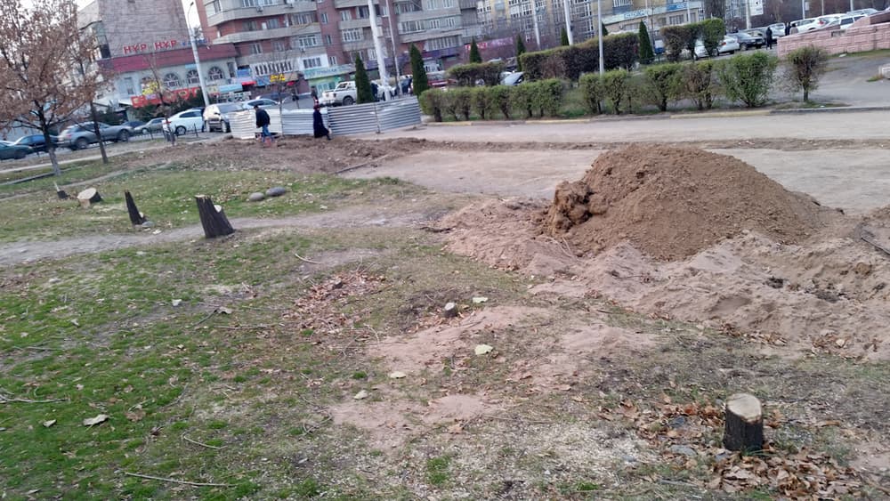 вырубка здоровых деревьев алматы, экология алматы, массовая вырубка деревьев алматы, алматы деревья, алматы универсиада, универсиада алматы, акимат алматы, алматы деревья, алматы вырубка