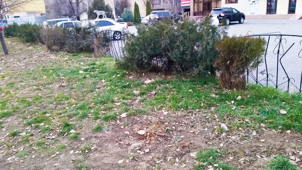 алматы незаконная торговля, алматы вырубка деревьев, алматы тротуары, облик алматы, туризм алматы, вырубка деревьев алматы, универсиада алматы, экология алматы, загрязнение алматы