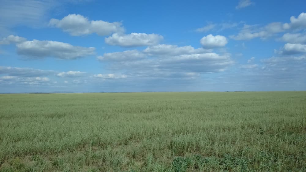 Степь