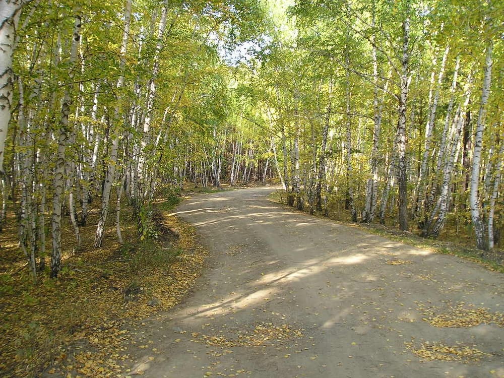 Осенняя дорога