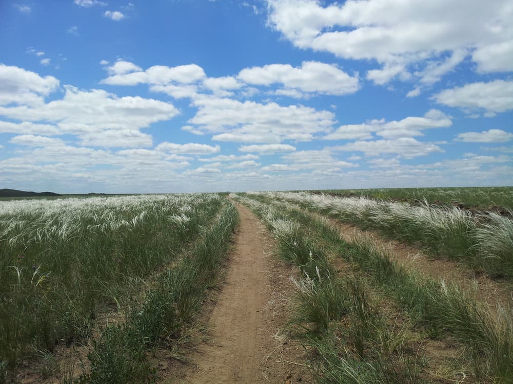 Степная дорога