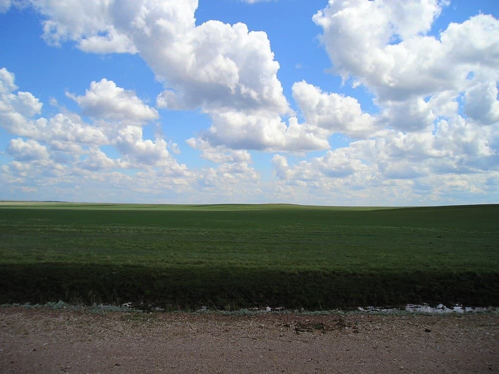 Степь